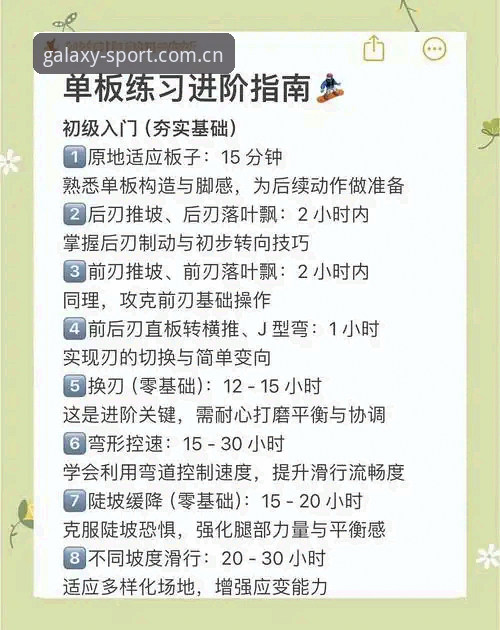 从入门到精通：一位资深用户的星空体育使用教程心得